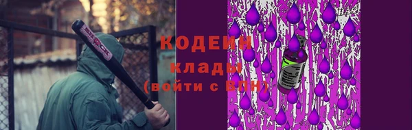 ГАЛЛЮЦИНОГЕННЫЕ ГРИБЫ Алзамай