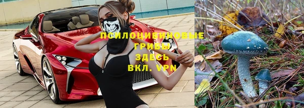 ГАЛЛЮЦИНОГЕННЫЕ ГРИБЫ Алзамай