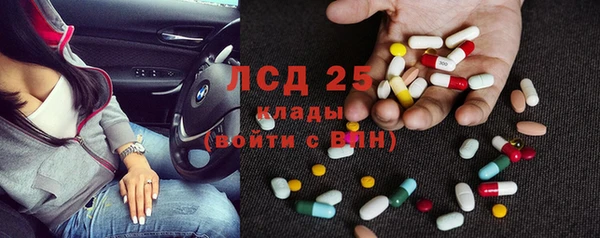 ГАЛЛЮЦИНОГЕННЫЕ ГРИБЫ Алзамай