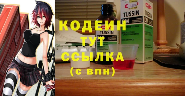 дурь Алексин