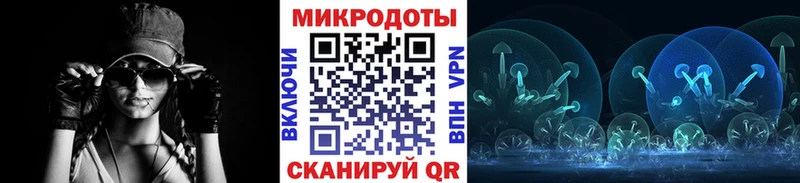 Псилоцибиновые грибы Psilocybine cubensis  закладки  Черноголовка 